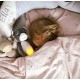 Amic muzical luminos pentru somn ZAZU - KATIE Amic muzical luminos pentru somn ZAZU - KATIE